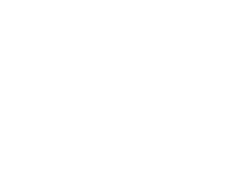 WHITE LEATHER