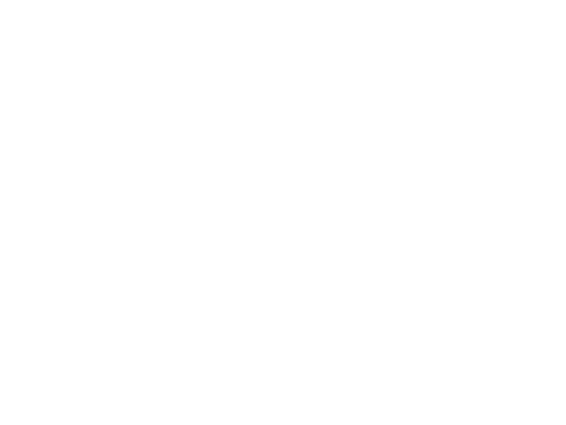 WHITE LEATHER