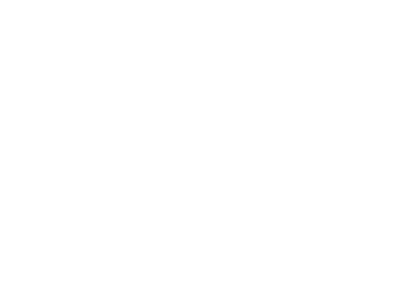WHITE LEATHER