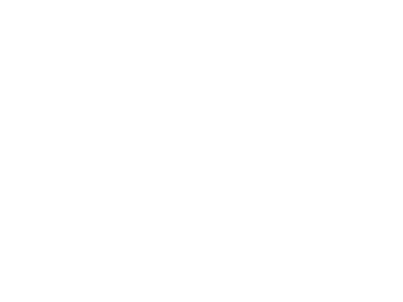 WHITE LEATHER