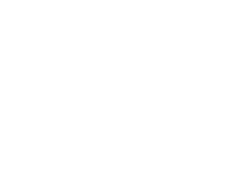WHITE LEATHER