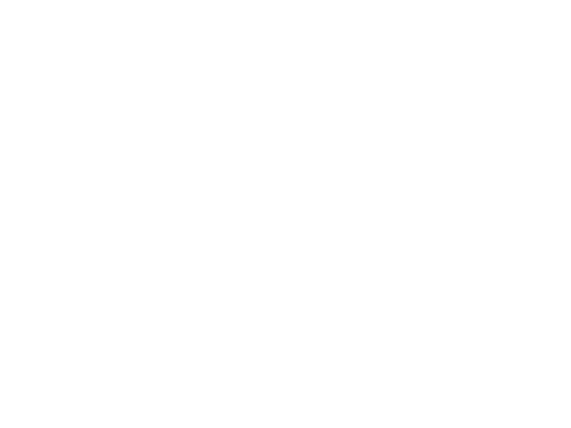WHITE LEATHER
